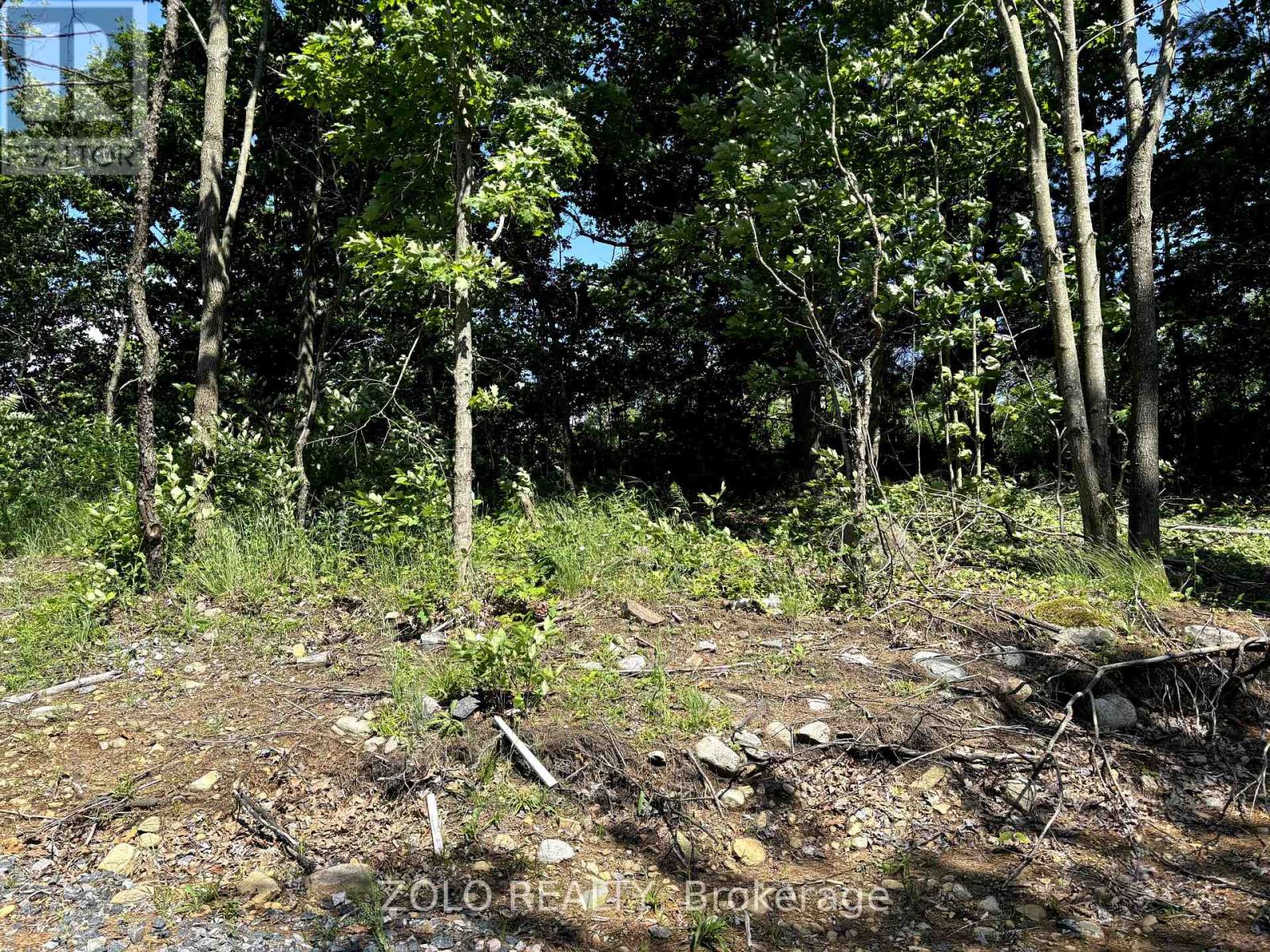 18 Hawkins Point Road Property Photo 10