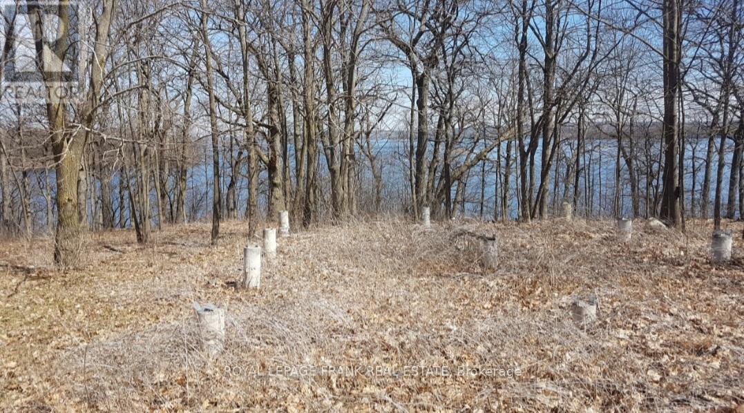 110 Cow Island Property Photo 12