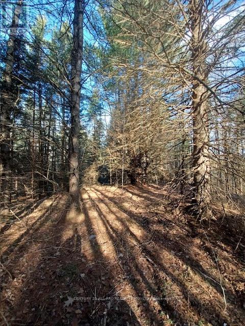 177 Dick Martin Road Property Photo