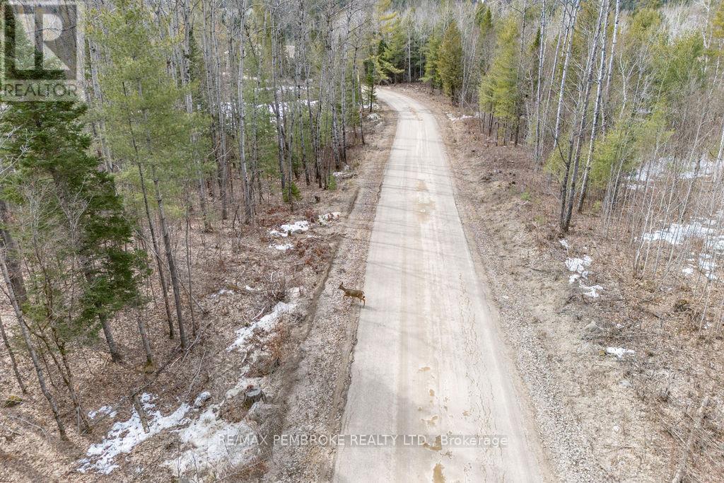 744 Black Creek Road Property Photo 23