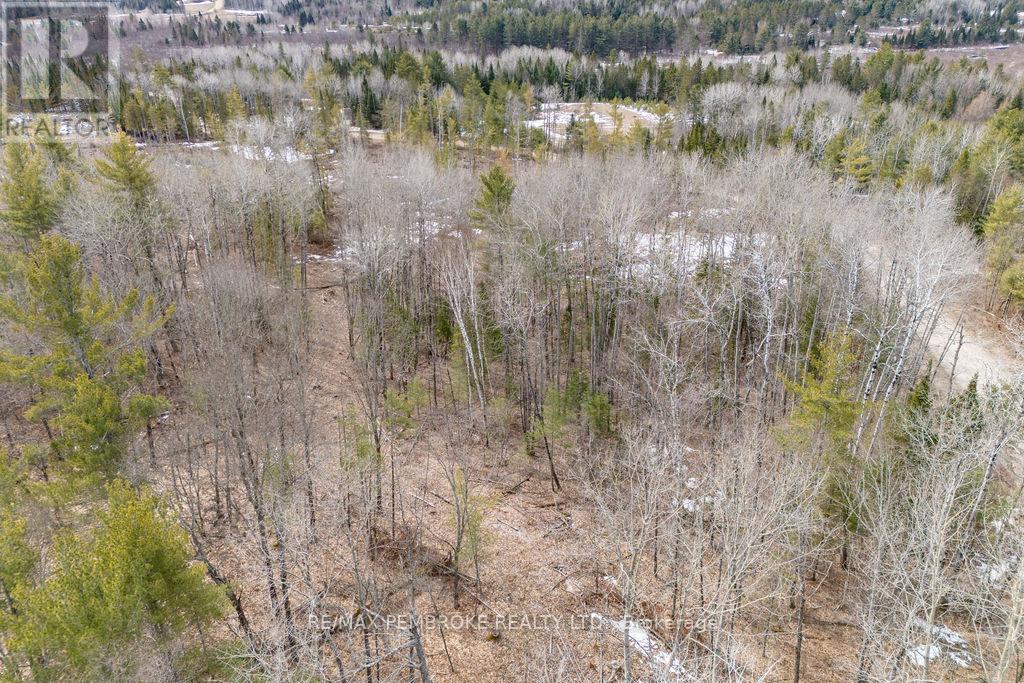744 Black Creek Road Property Photo 25