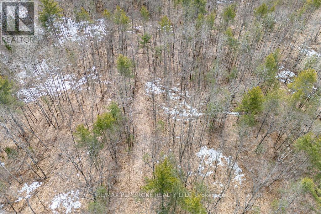744 Black Creek Road Property Photo 28