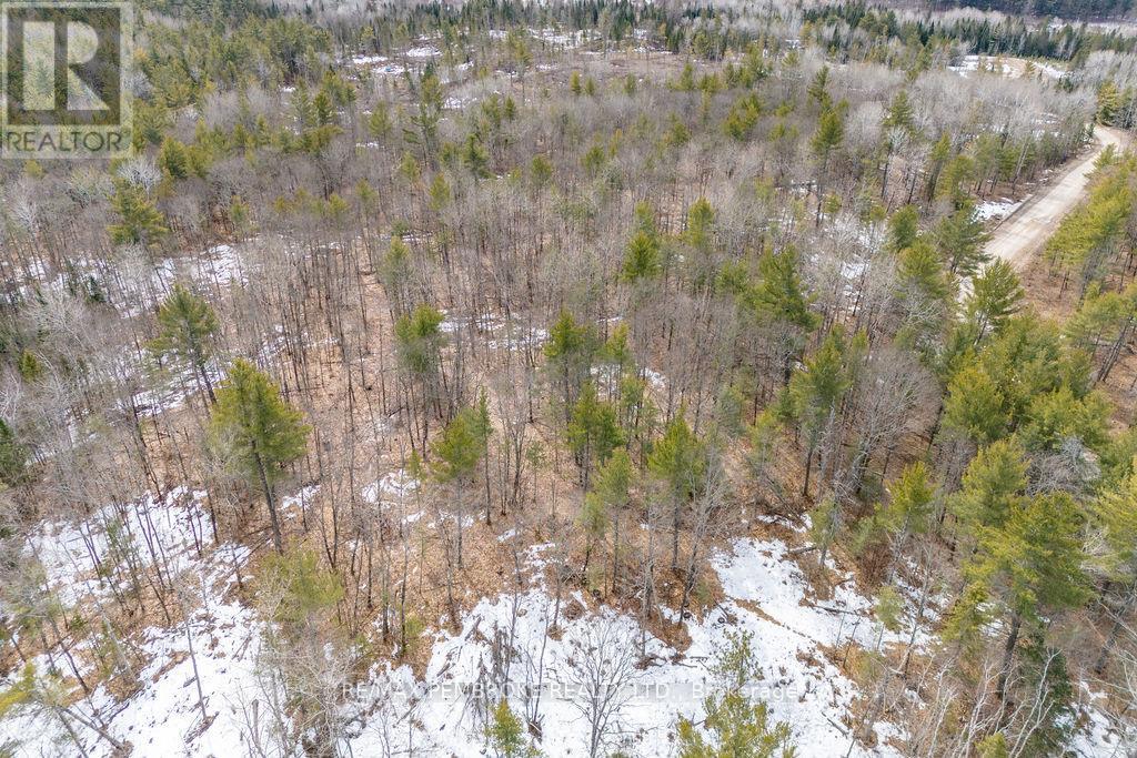744 Black Creek Road Property Photo 47