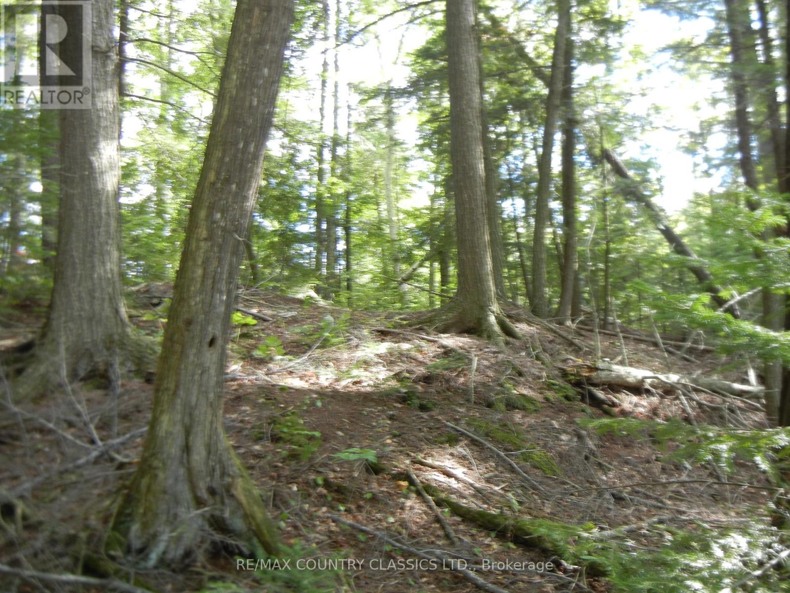 0 Glen Alda Road Property Photo