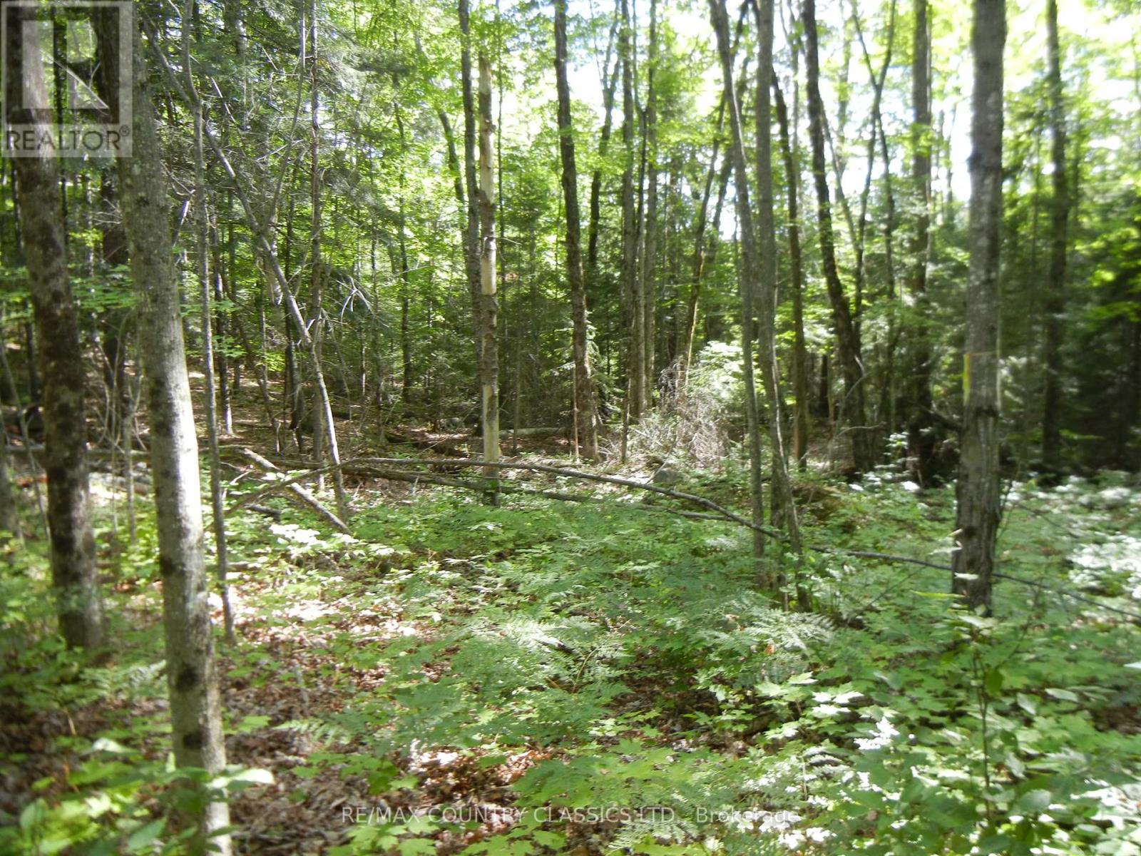 0 Glen Alda Road Property Photo 2