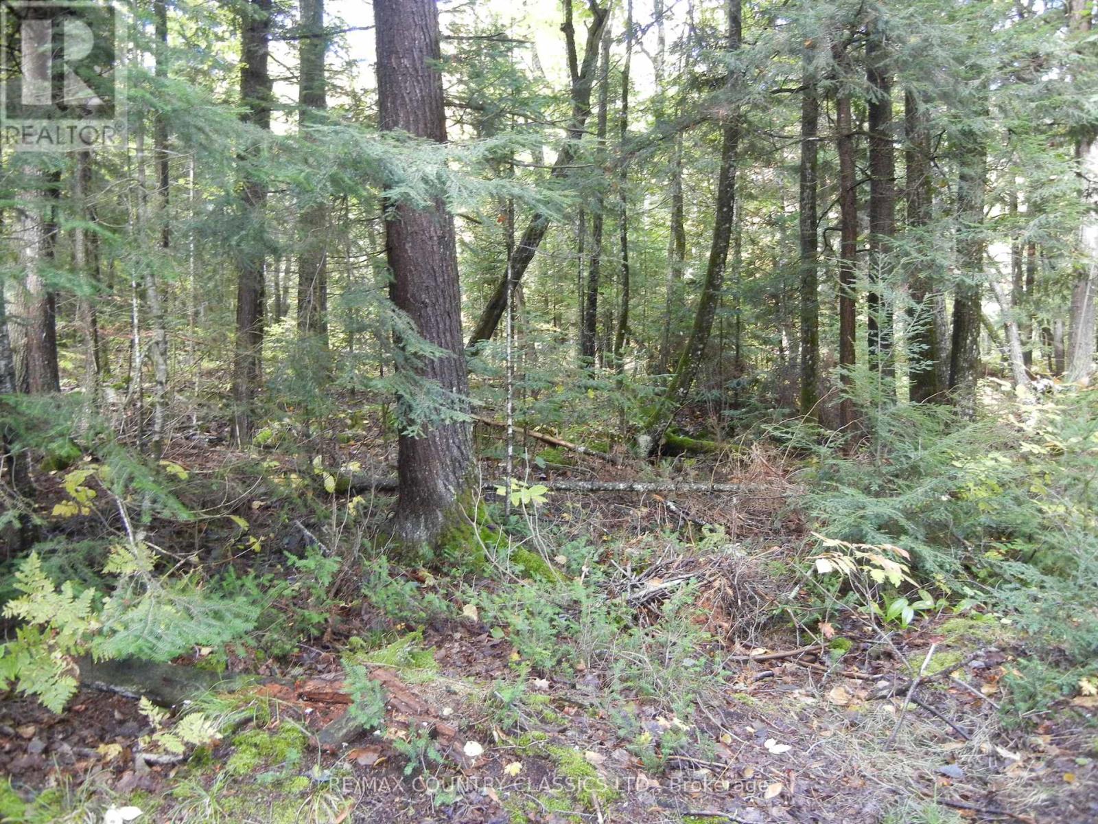 0 Glen Alda Road Property Photo 5