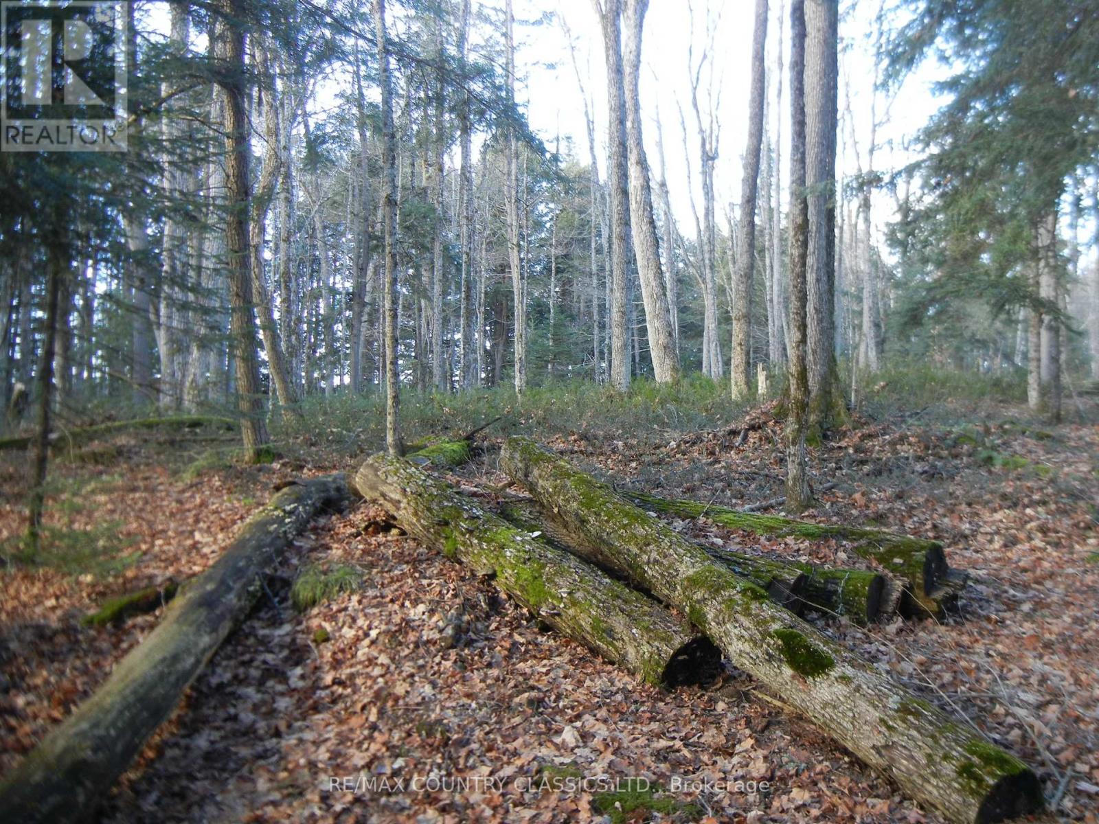 0 Knox Point Road Property Photo