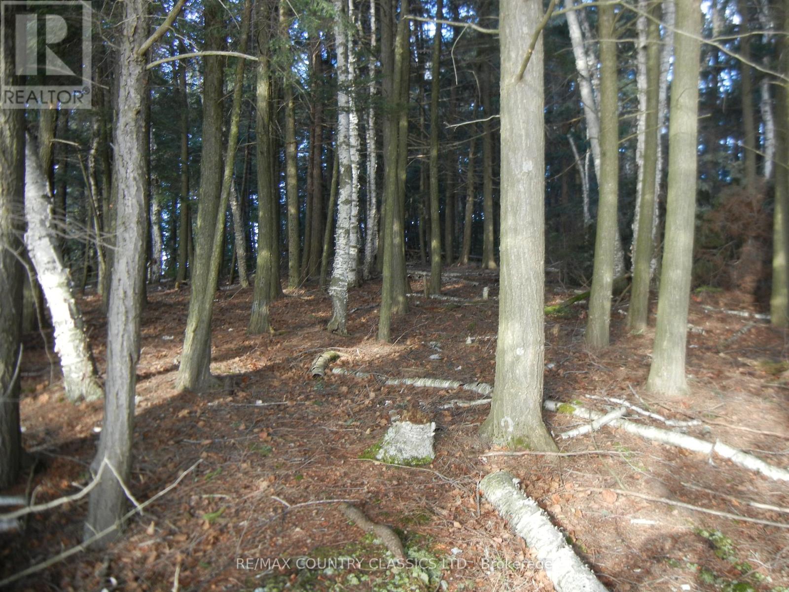 0 Knox Point Road Property Photo 2