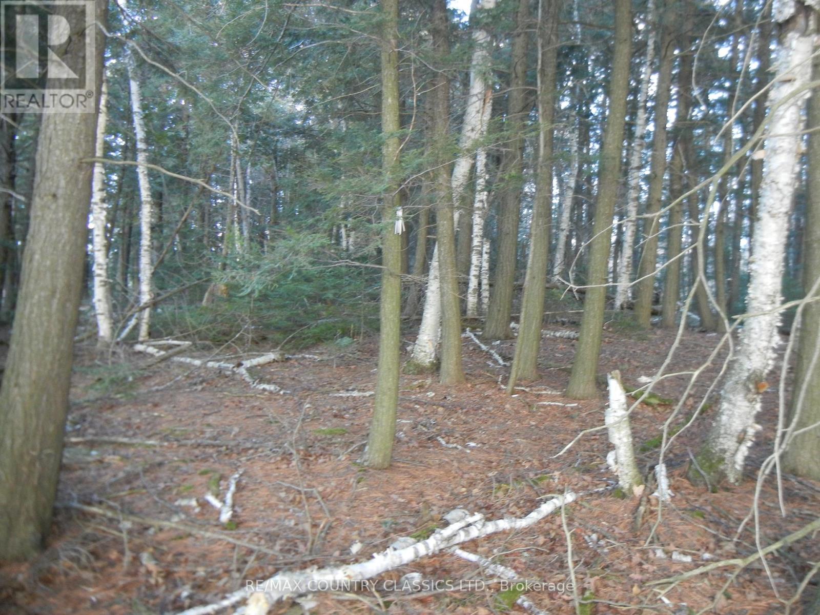 0 Knox Point Road Property Photo 3