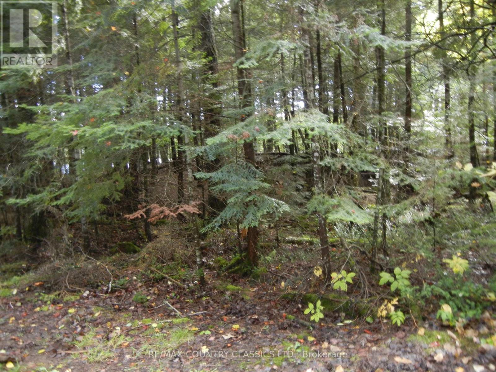 0 Knox Point Road Property Photo 4