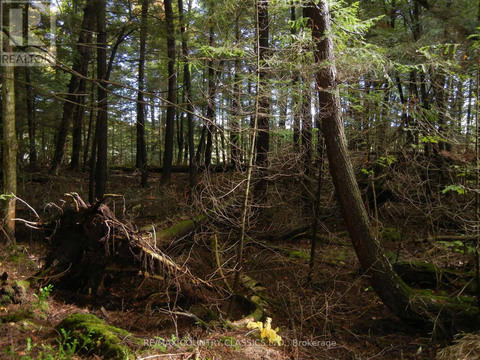 0 Knox Point Road Property Photo 5