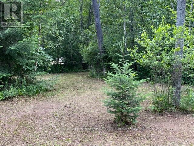 Lot 9 Lower Craigmont Road Property Photo 9