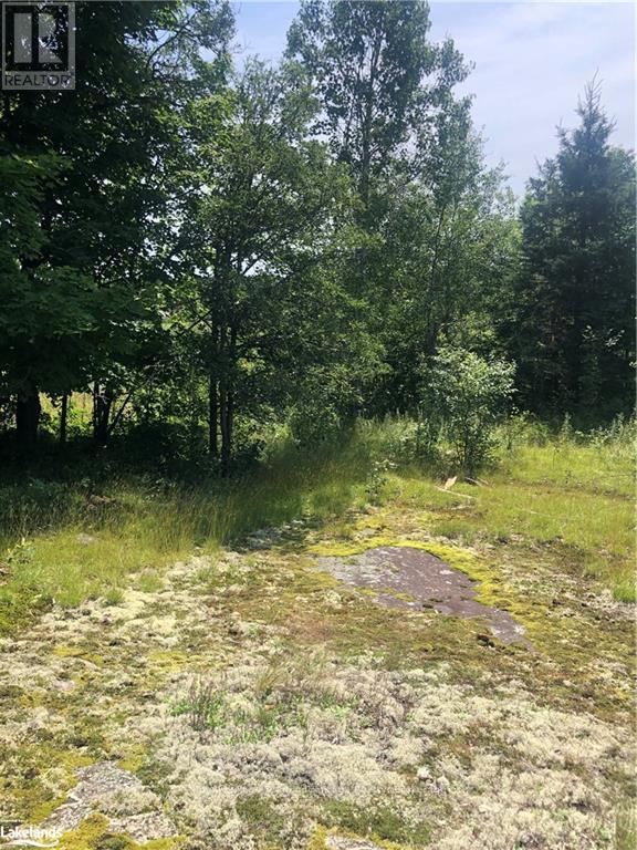 13 Lakeside Drive Property Photo 21
