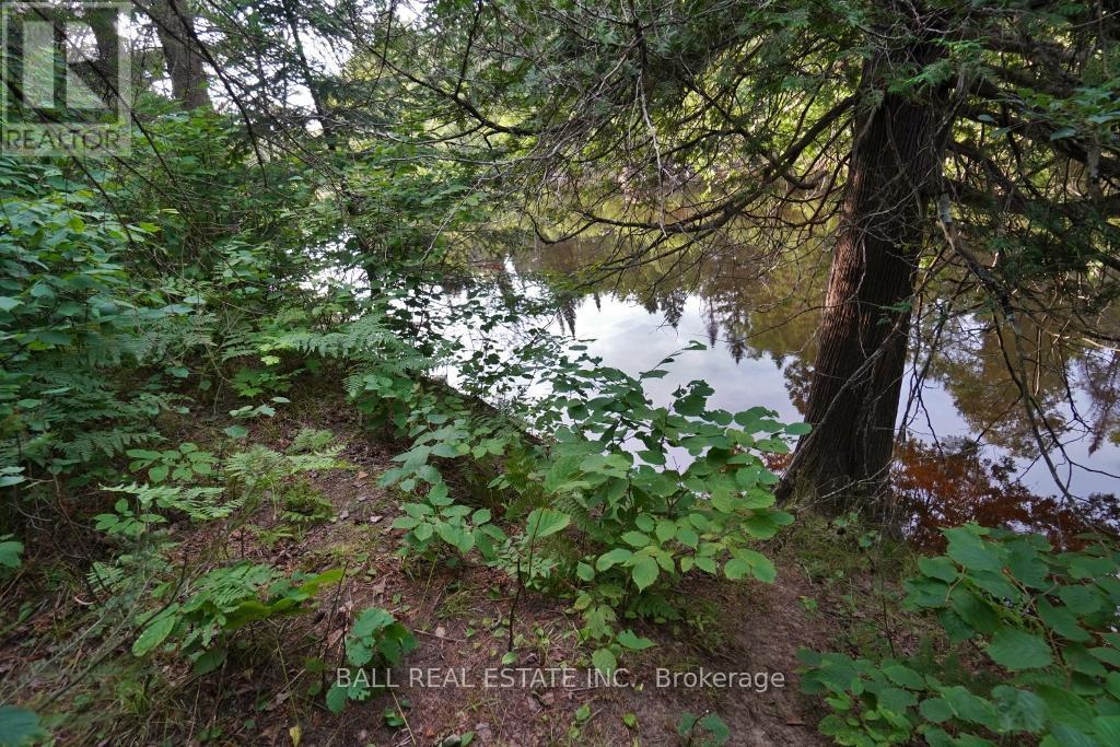 0 Glory Road Property Photo 6