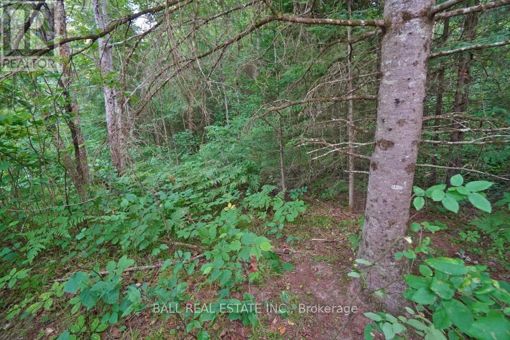 0 Glory Road Property Photo 11