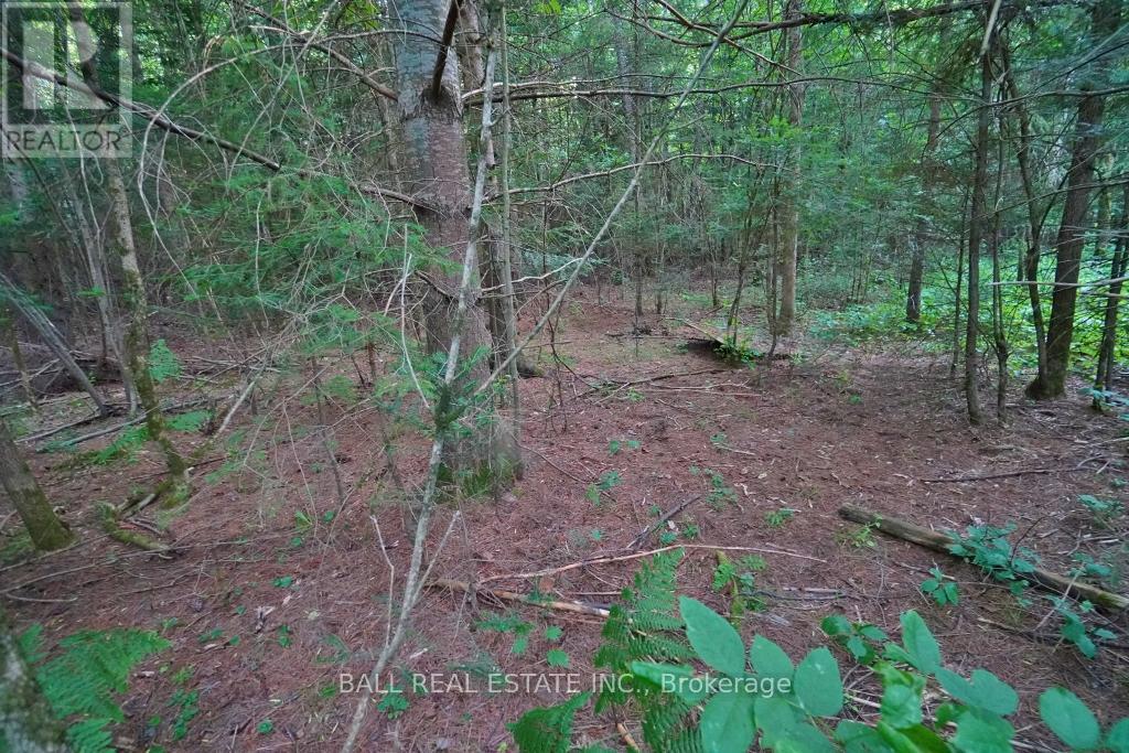 0 Glory Road Property Photo 13