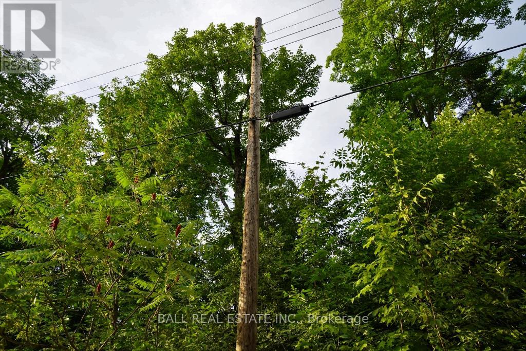 0 Glory Road Property Photo 16