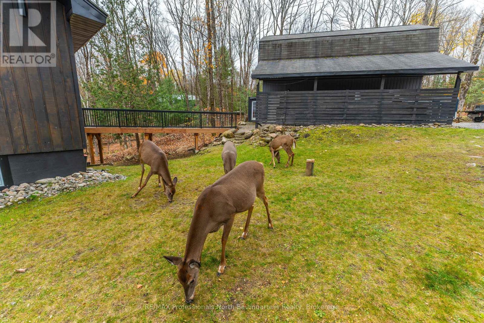 1035 Graydon Lane Property Photo 43