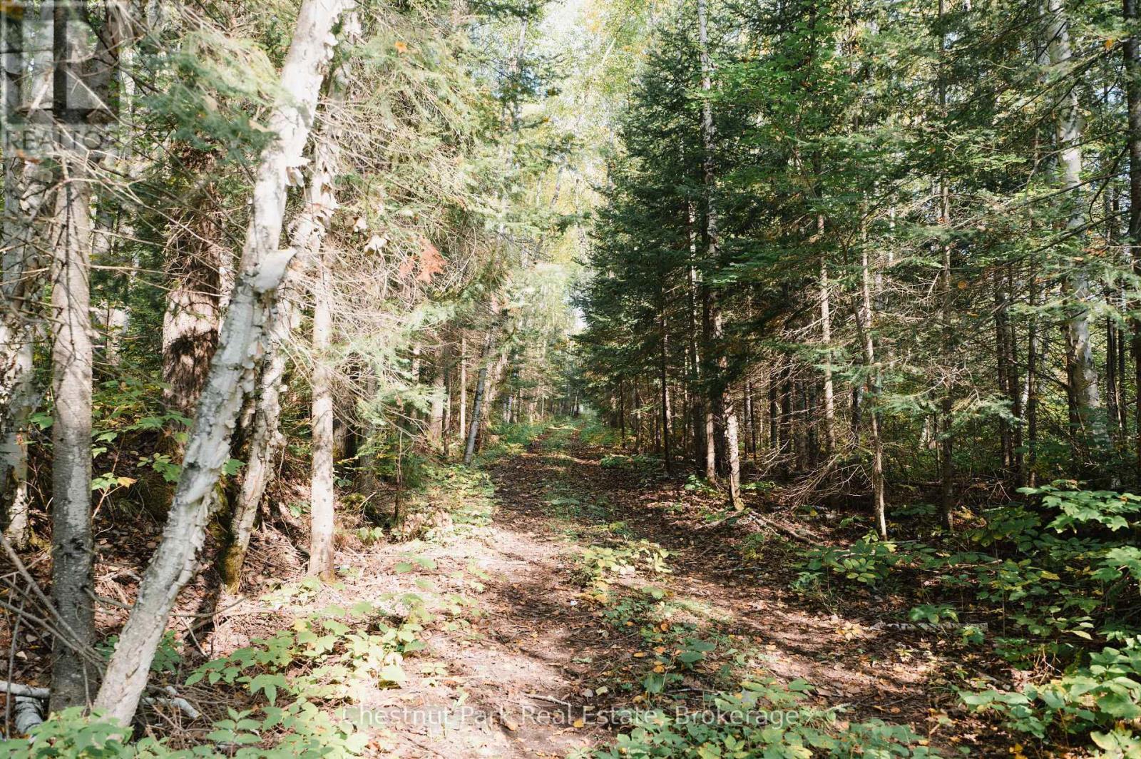 445 Fox Run Property Photo 4