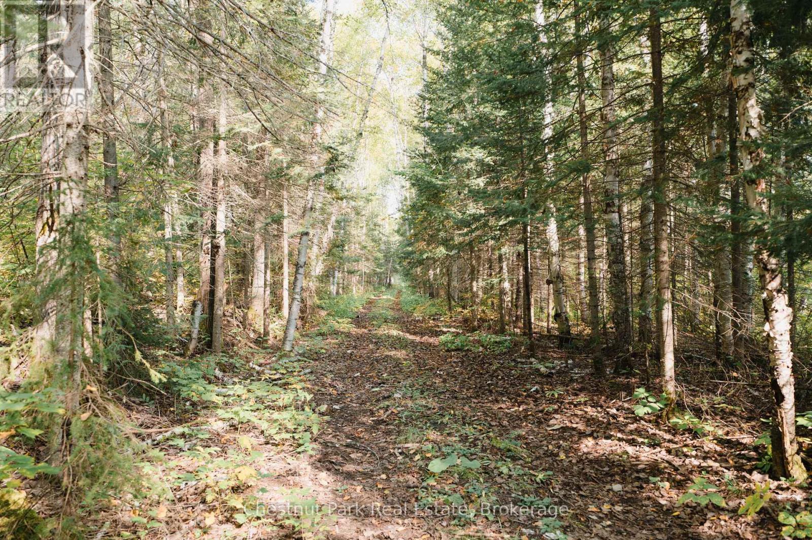445 Fox Run Property Photo 15