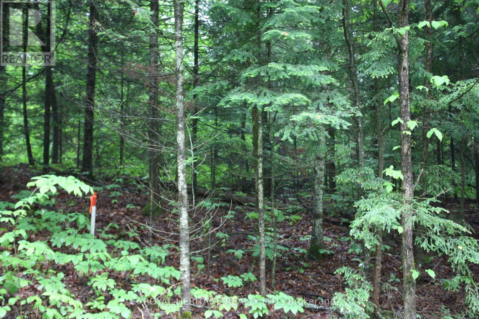 N/a Quarry Road Property Photo 1