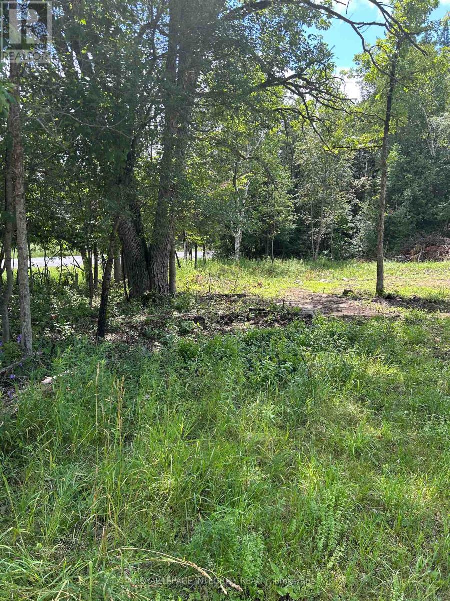109 Iron Mine Road Property Photo 11