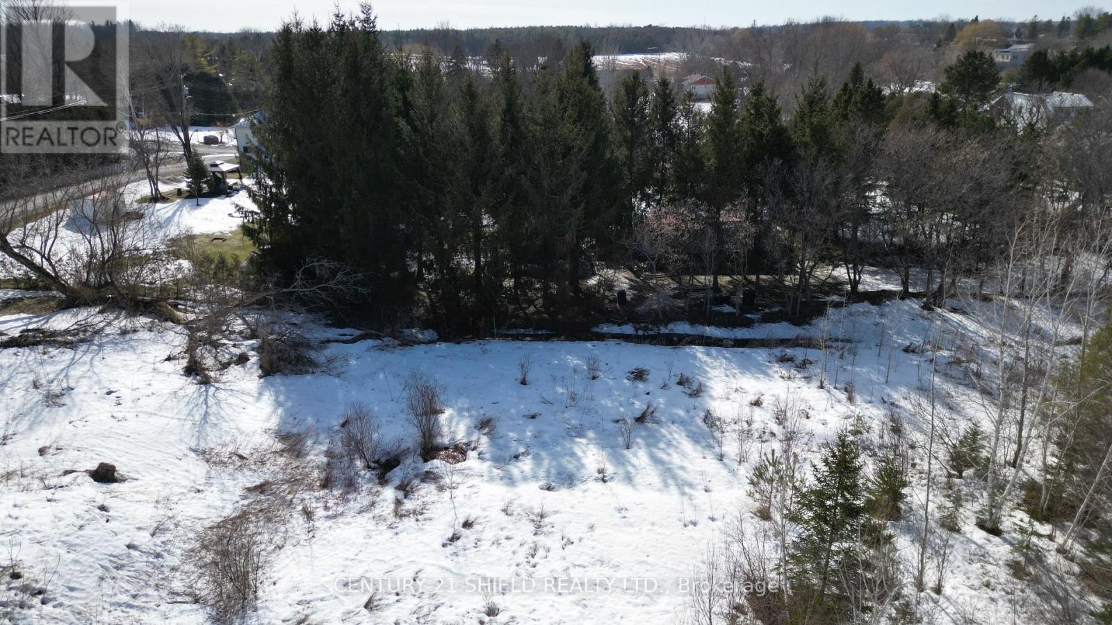 21963 Sauve Street Property Photo 6