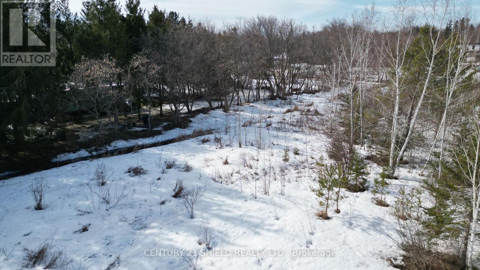 21963 Sauve Street Property Photo 8
