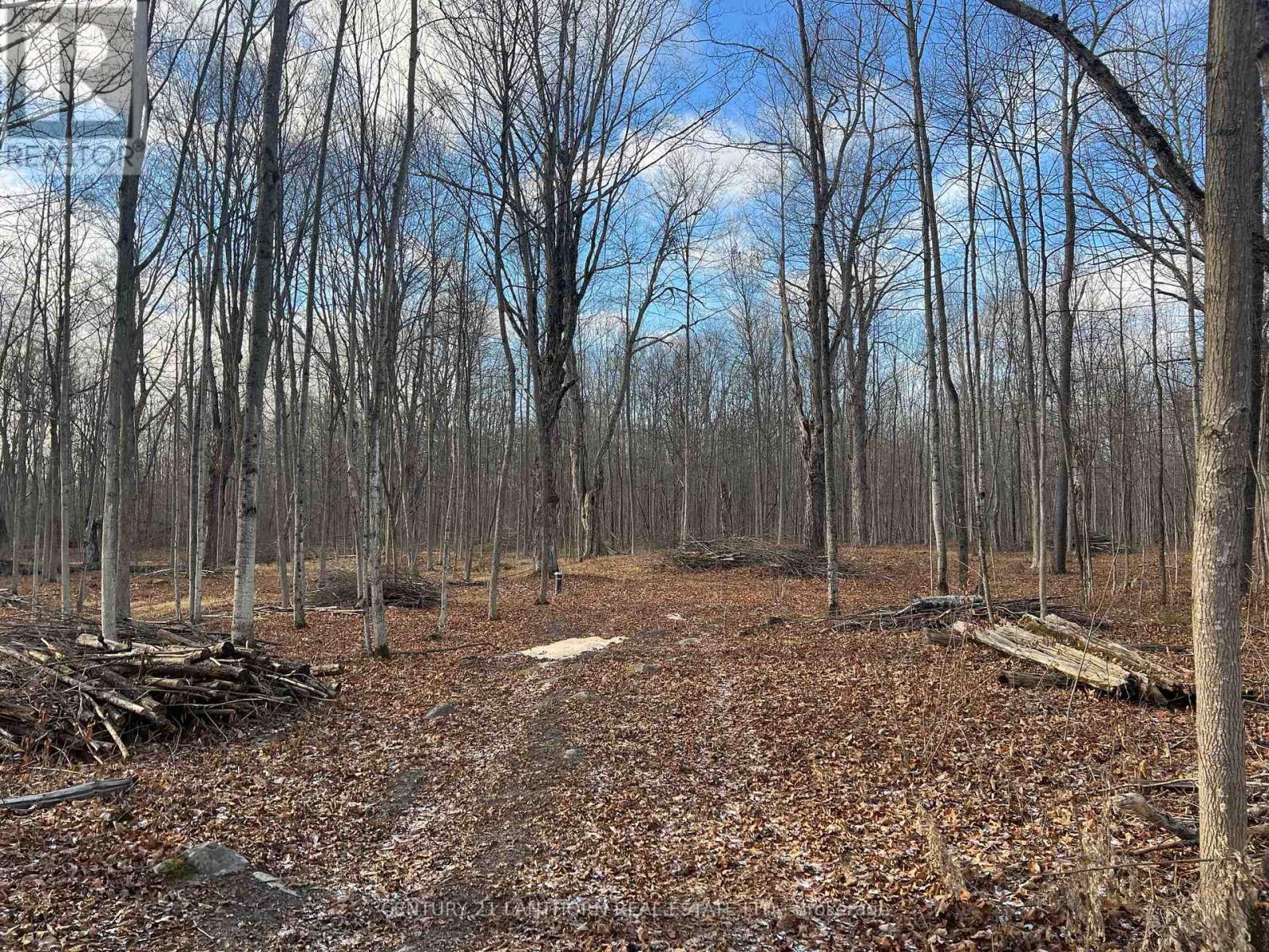 55 Post Road Property Photo 7