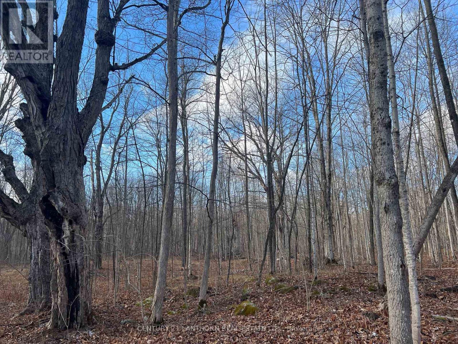 55 Post Road Property Photo 10