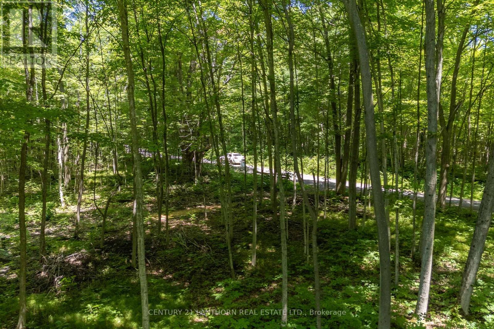 55 Post Road Property Photo 12