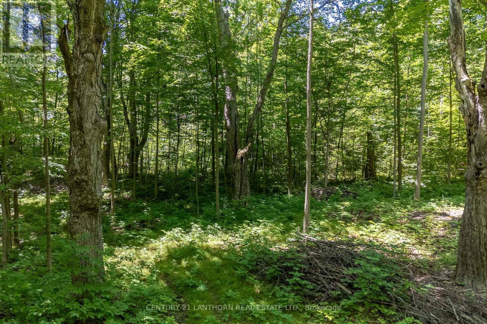 55 Post Road Property Photo 15