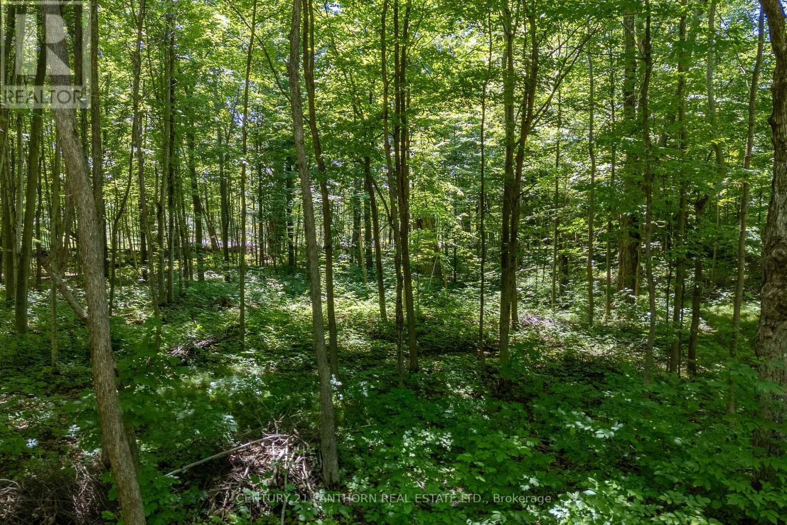 55 Post Road Property Photo 16
