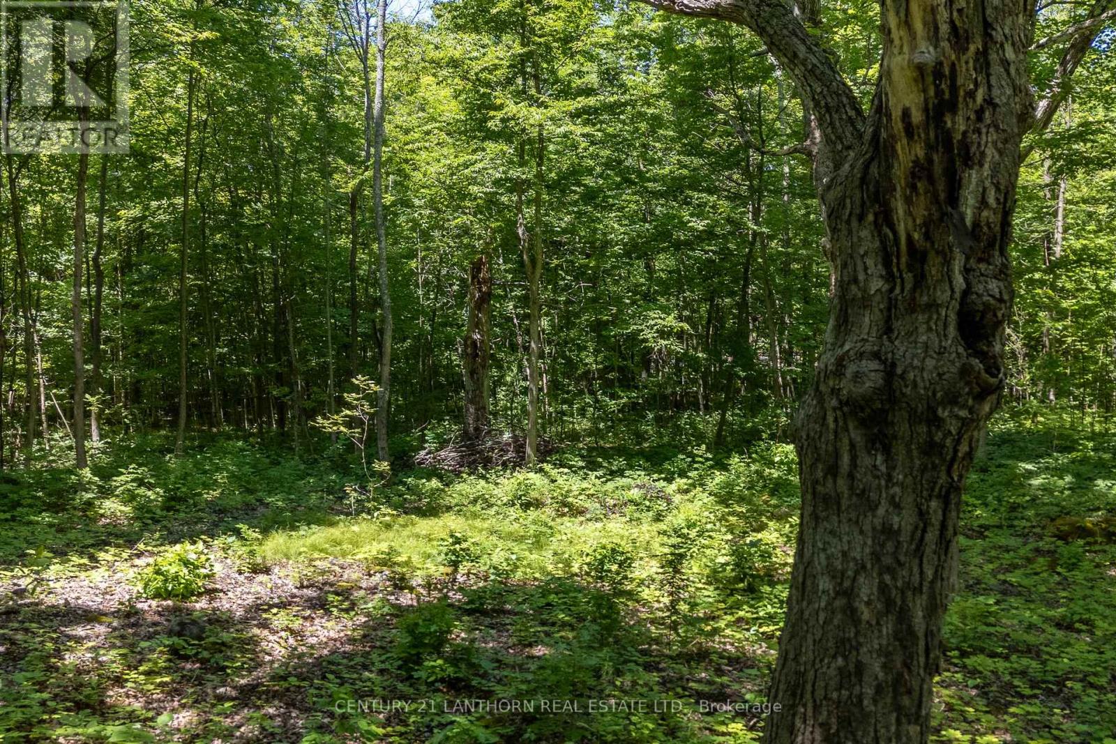 55 Post Road Property Photo 17