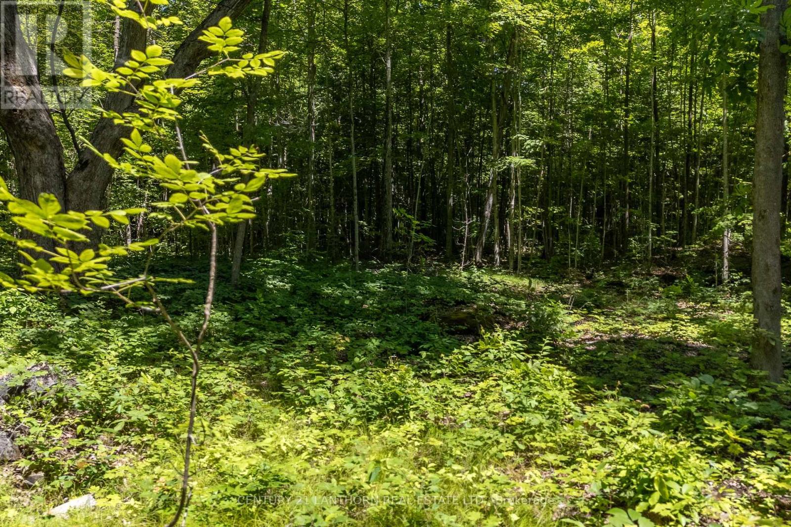 55 Post Road Property Photo 18