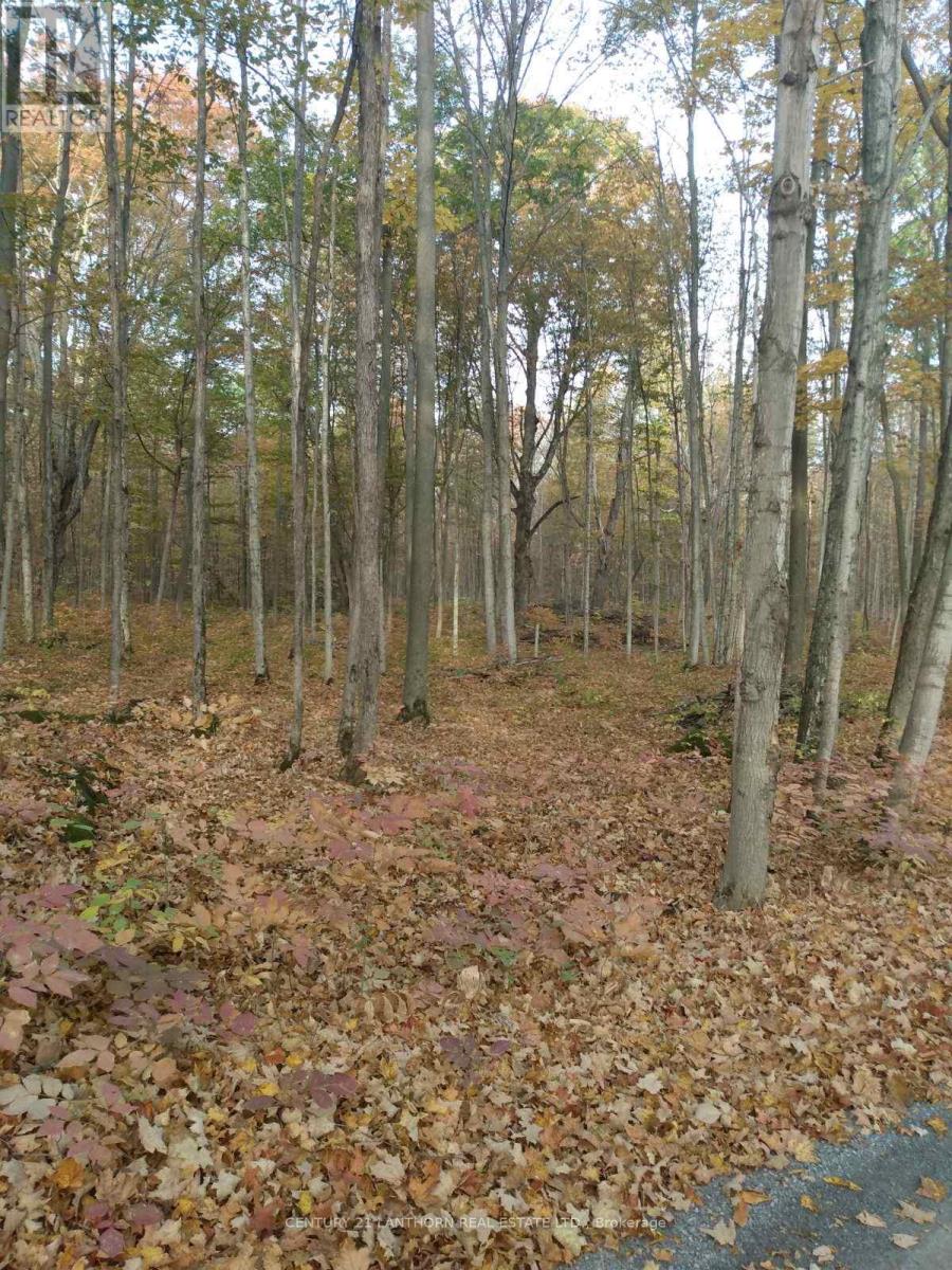 55 Post Road Property Photo 19