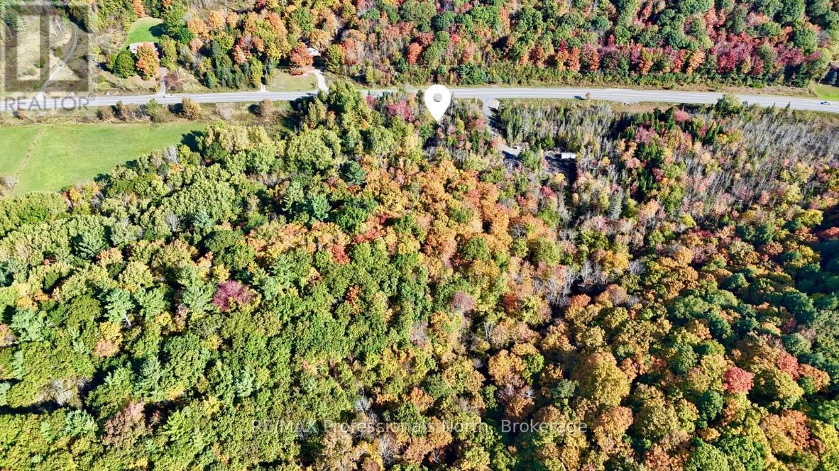 1362 Highway 118 W Property Photo 4