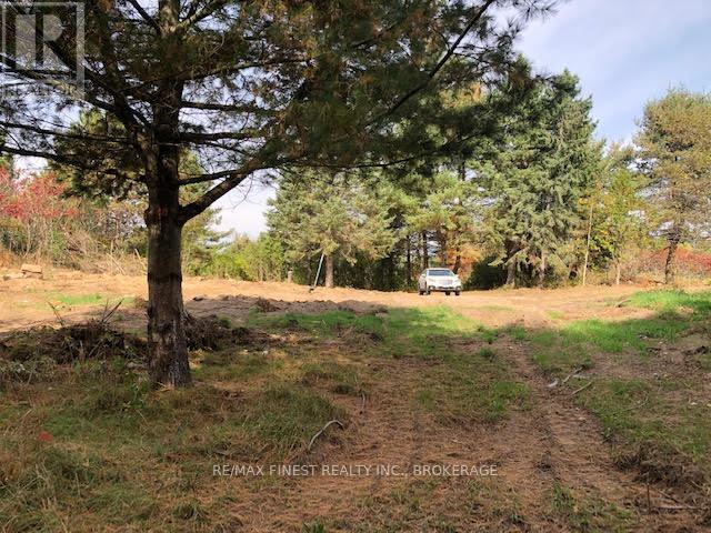 1380 Westport Road Property Photo 5