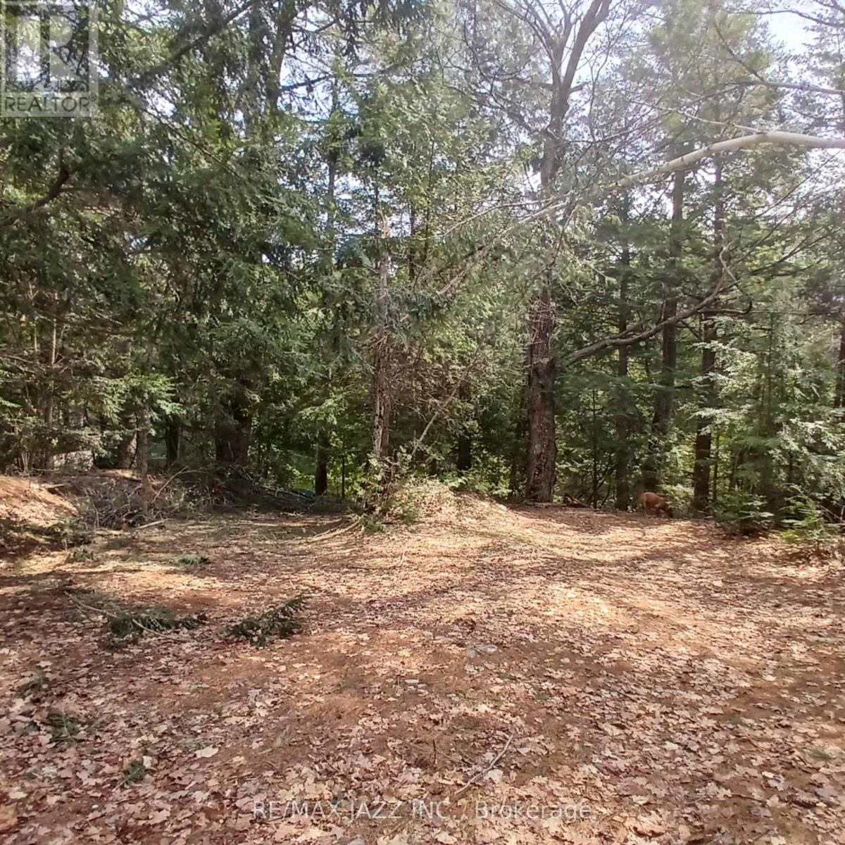 0 Concession 3 Road Property Photo 2