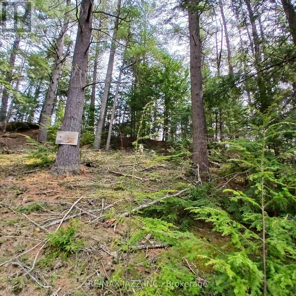 0 Concession 3 Road Property Photo 6