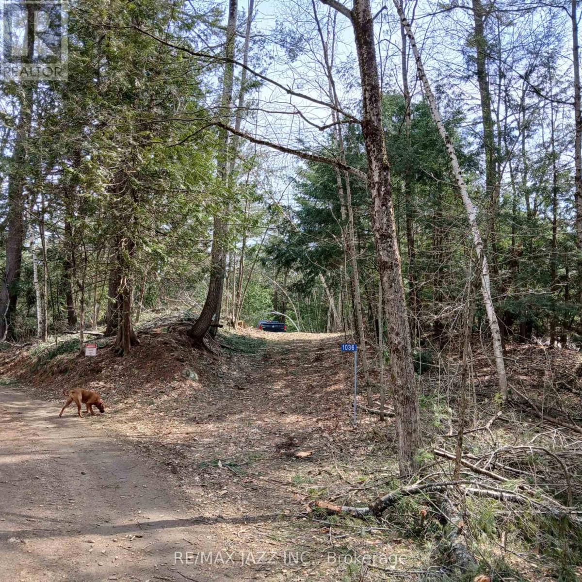 0 Concession 3 Road Property Photo 14