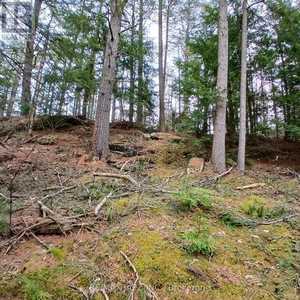 0 Concession 3 Road Property Photo 16