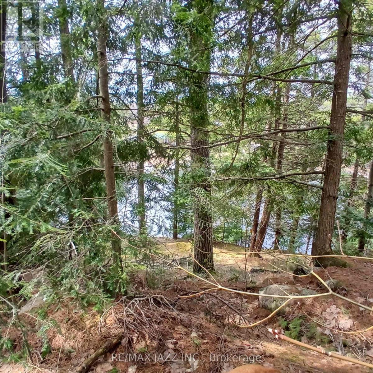 0 Concession 3 Road Property Photo 17