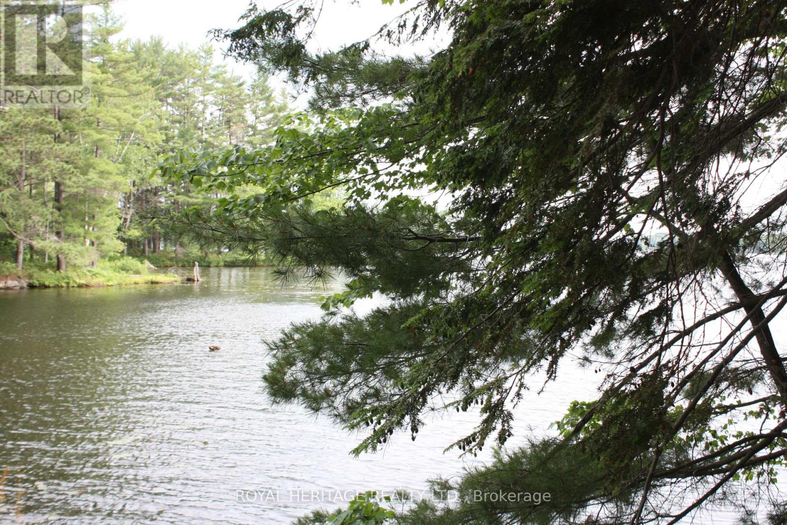 Lot 2 - N/a-wao Kasshabog Lake Property Photo 2