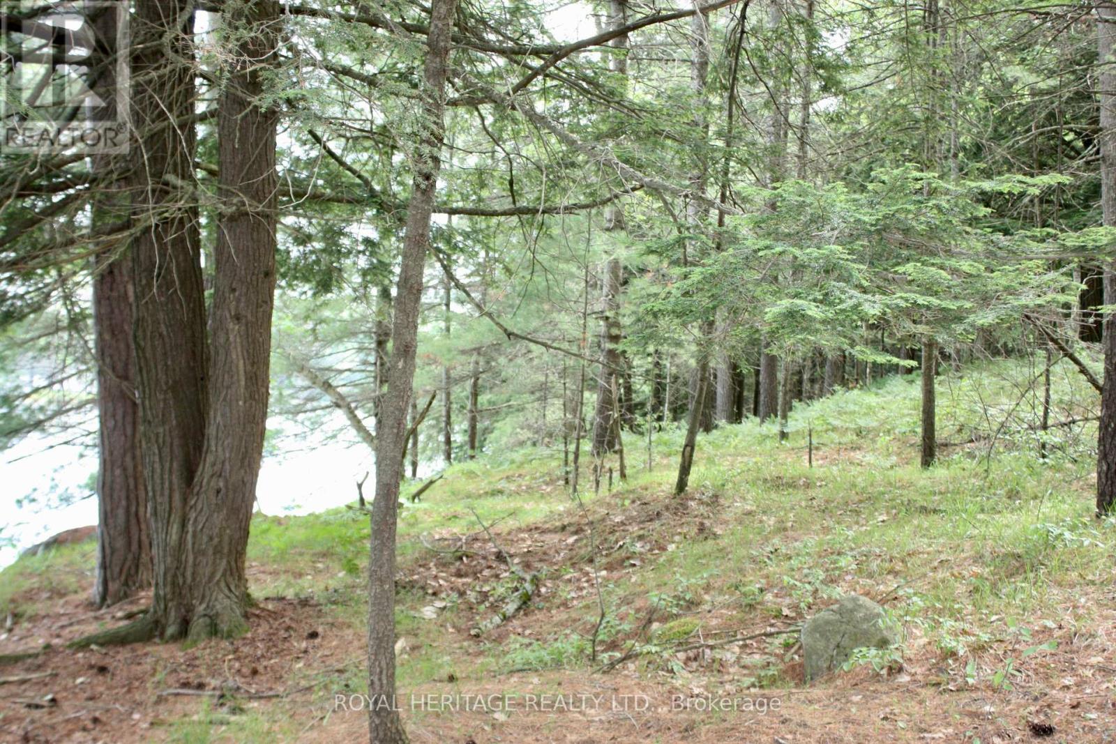 Lot 2 - N/a-wao Kasshabog Lake Property Photo 7