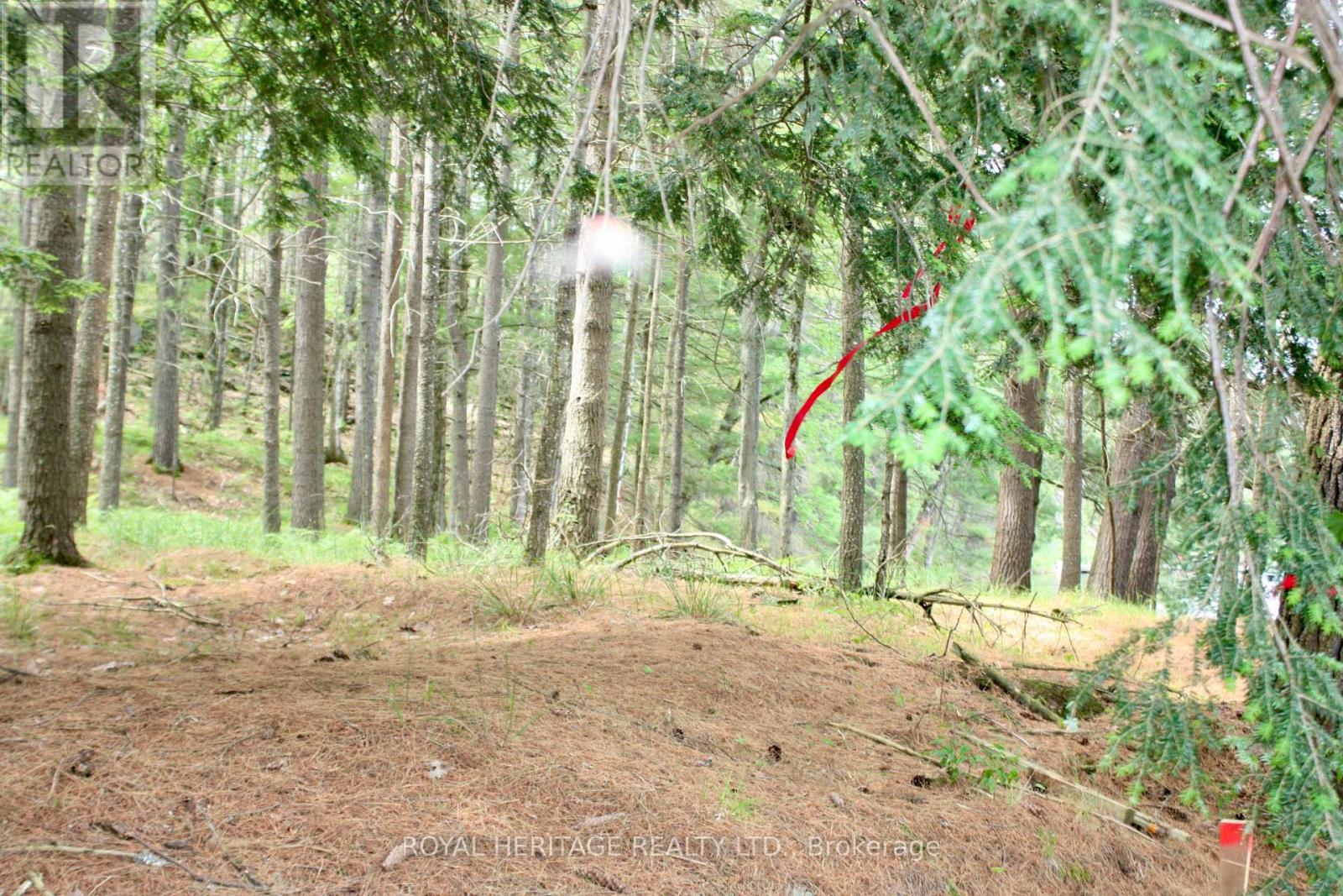 Lot 2 - N/a-wao Kasshabog Lake Property Photo 8