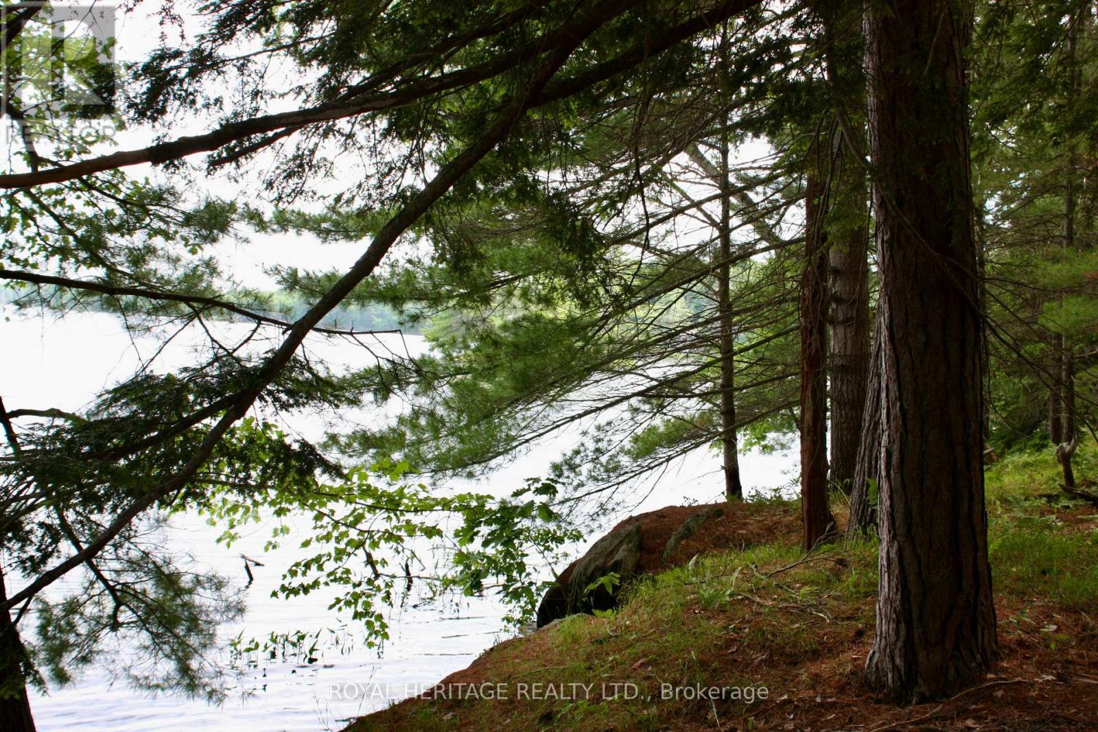 Lot 2 - N/a-wao Kasshabog Lake Property Photo 9
