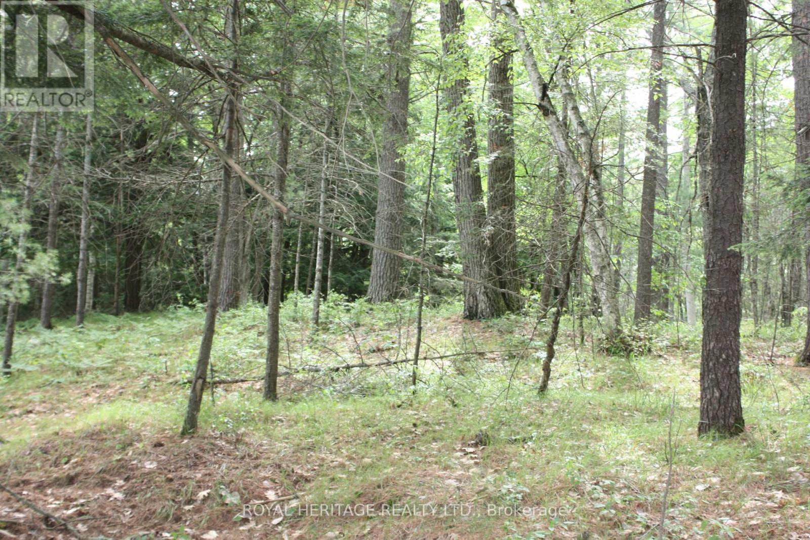 Lot 2 - N/a-wao Kasshabog Lake Property Photo 10