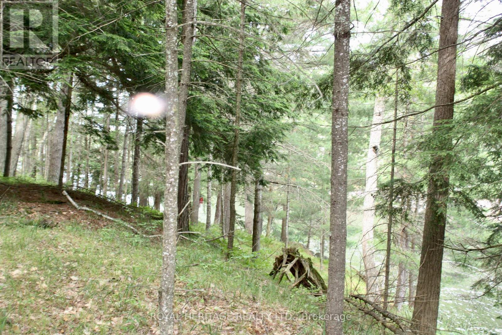 Lot 2 - N/a-wao Kasshabog Lake Property Photo 14