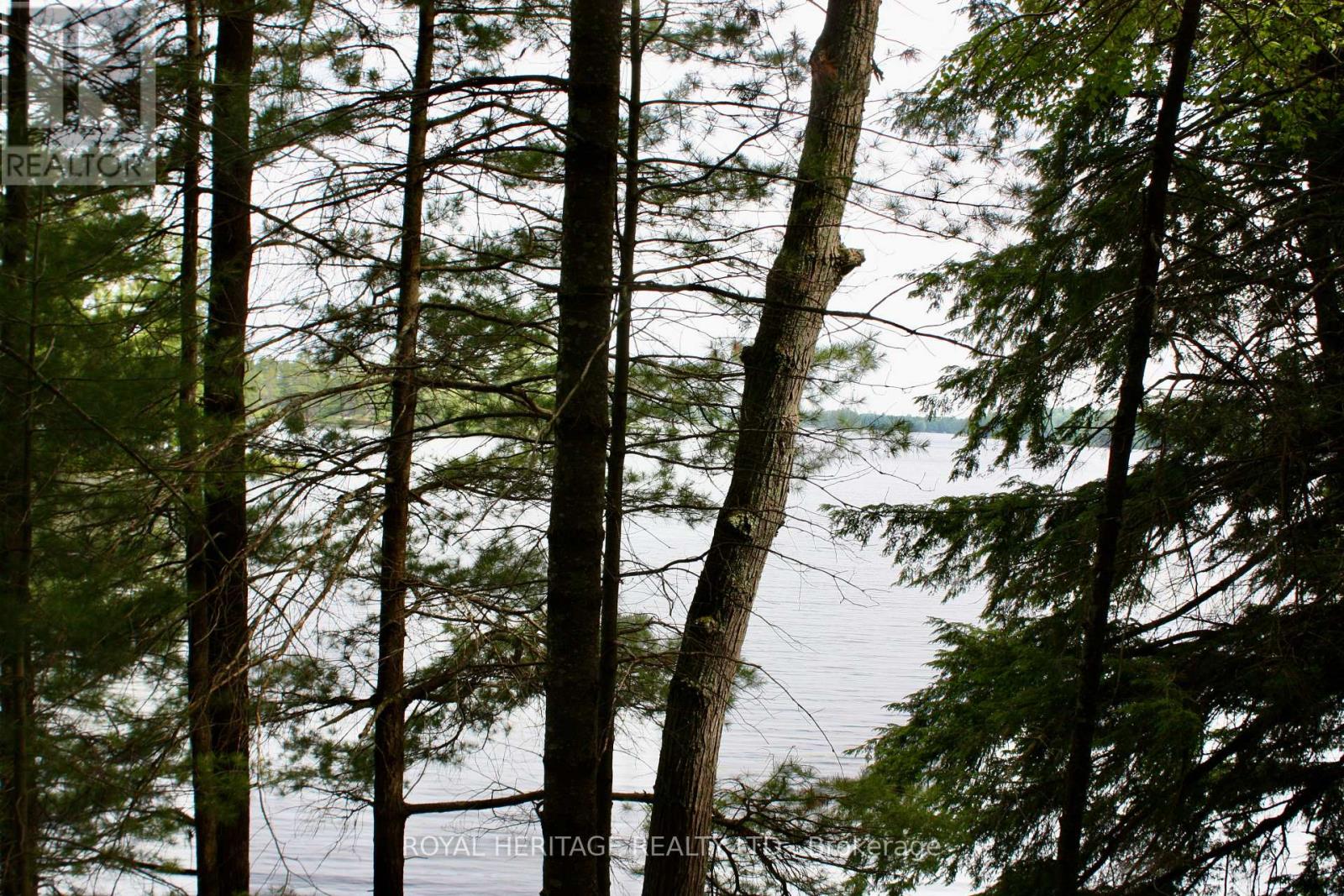Lot 2 - N/a-wao Kasshabog Lake Property Photo 17